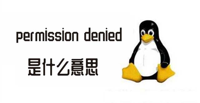 permission denied什么意思